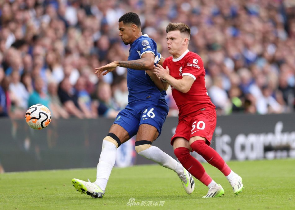 怀特的出色 怀特的出色